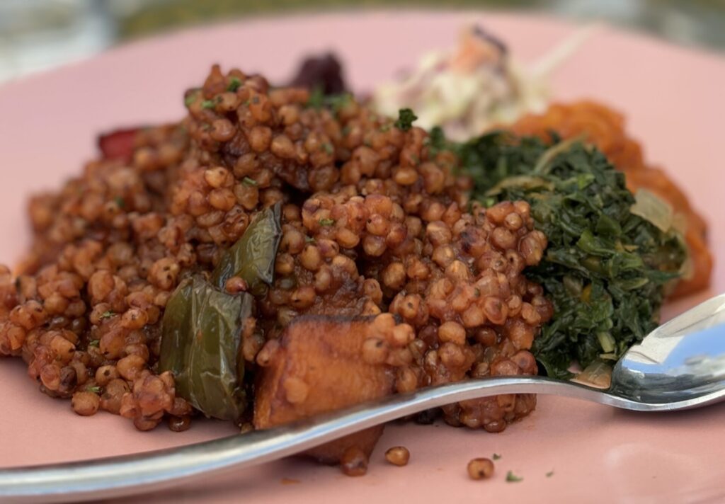Traditional Sorghum has been cultivated and eaten in South Africa for many centuries. Today it still features in African cuisine being grown in summer rainfall regions in South Africa - maize is however far more common in South Africa today as the staple food of our African people. 