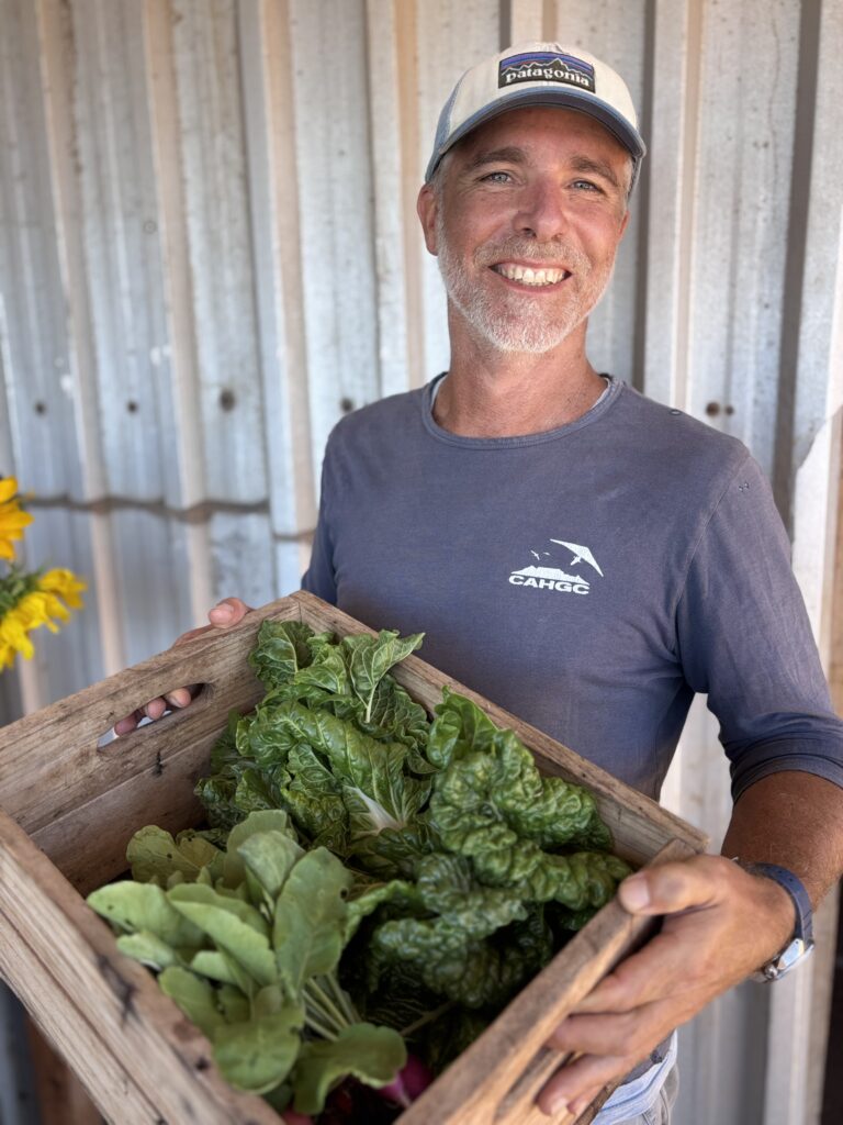 Rocklands Farm organic farming using hydroponics - located in Simon's Town Cape Peninsula 