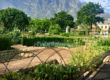 Cape Town City Tours_CFT